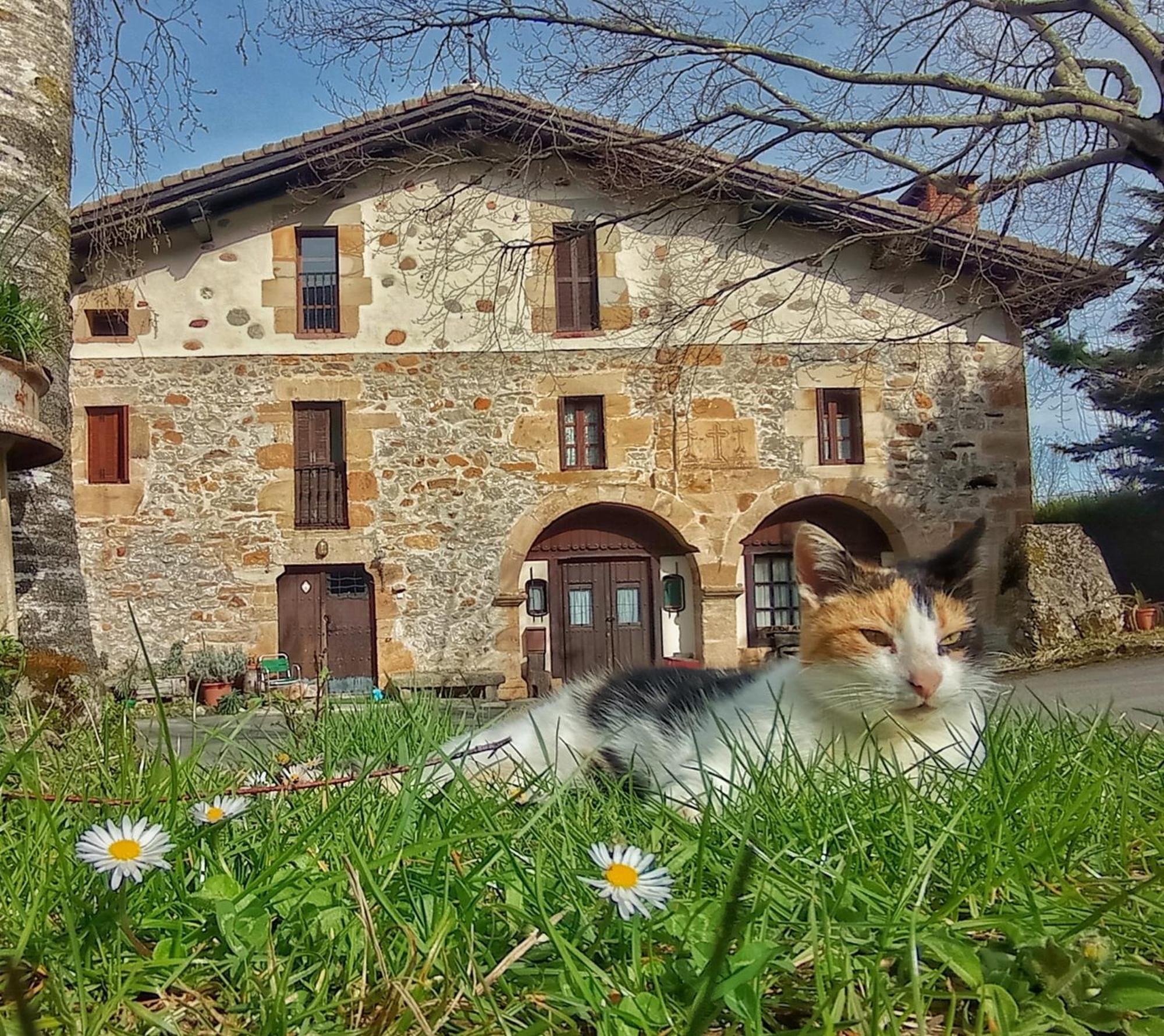Escoriaza Casa Rural Areano المظهر الخارجي الصورة