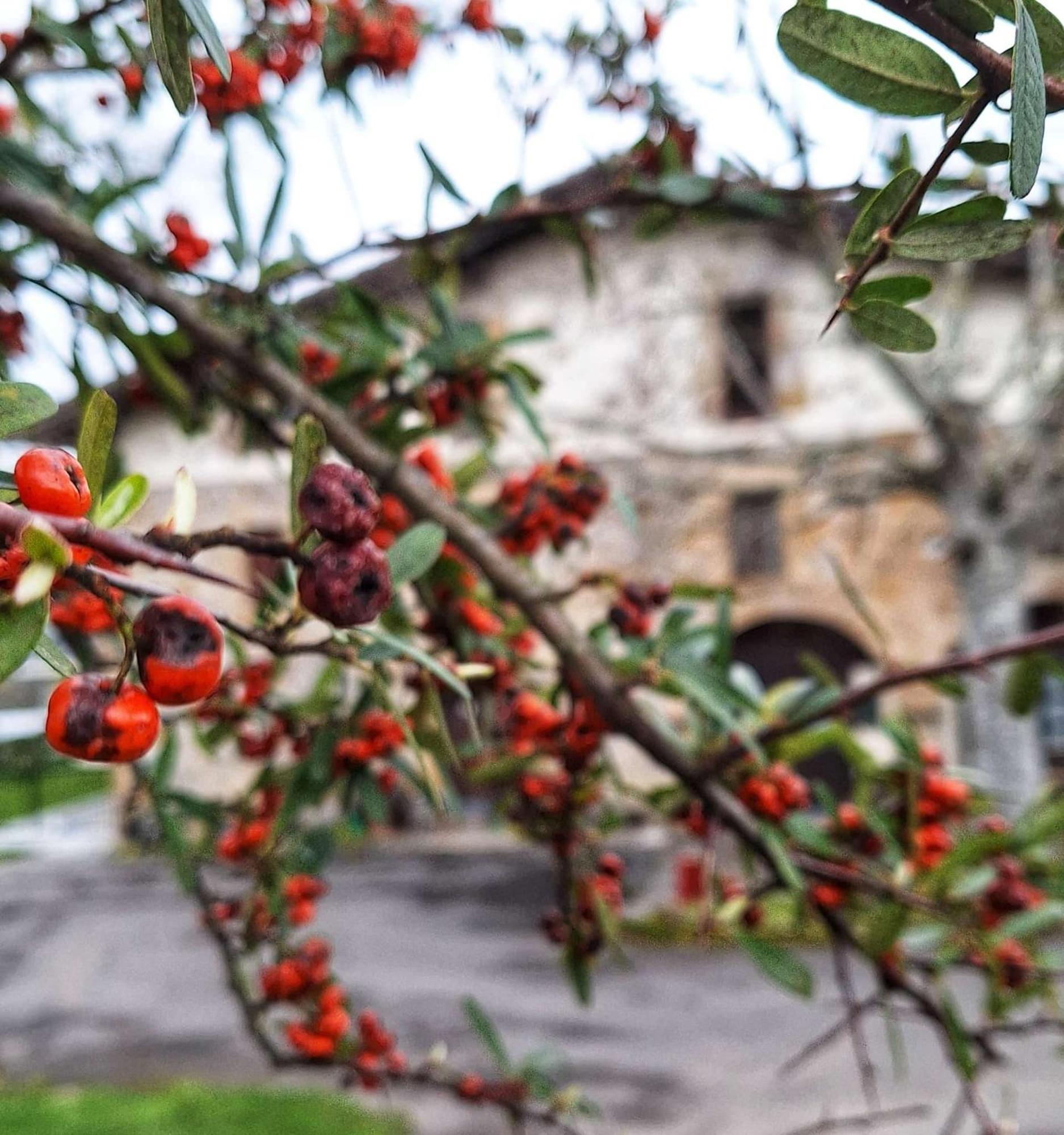 Escoriaza Casa Rural Areano المظهر الخارجي الصورة