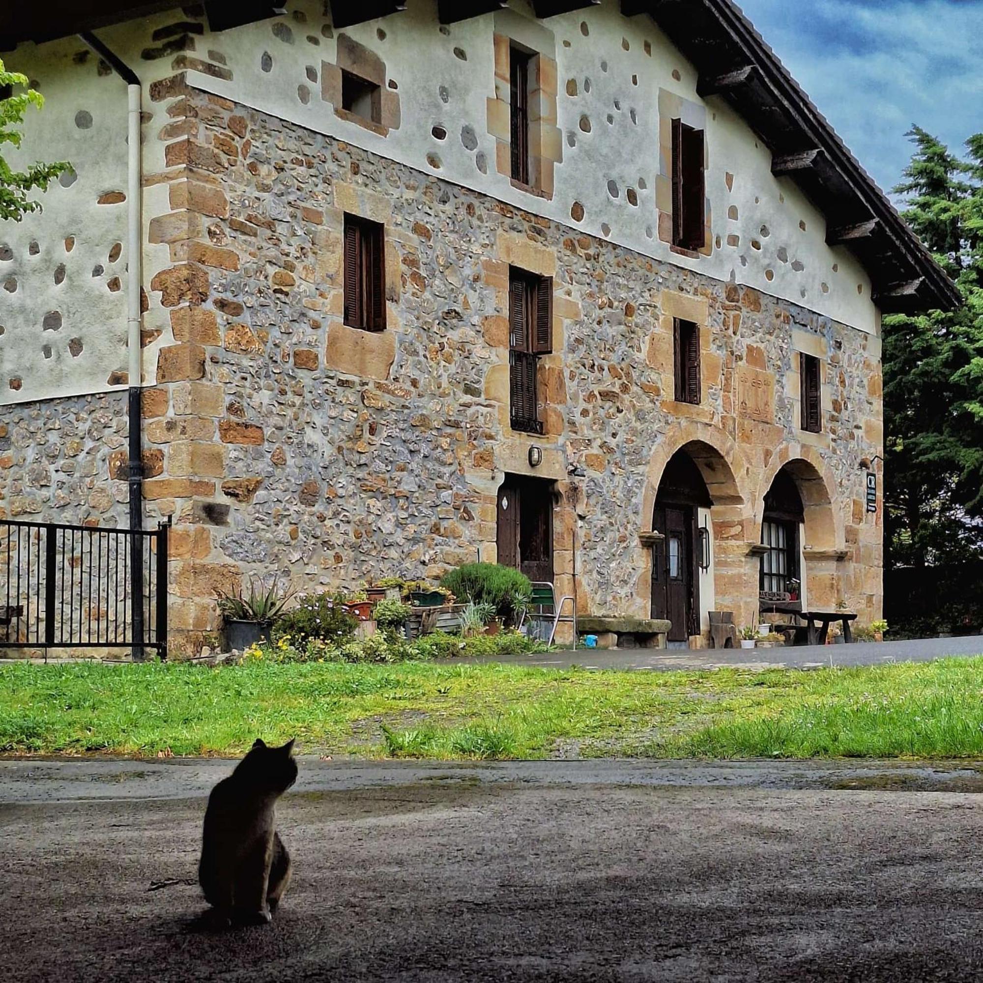 Escoriaza Casa Rural Areano المظهر الخارجي الصورة