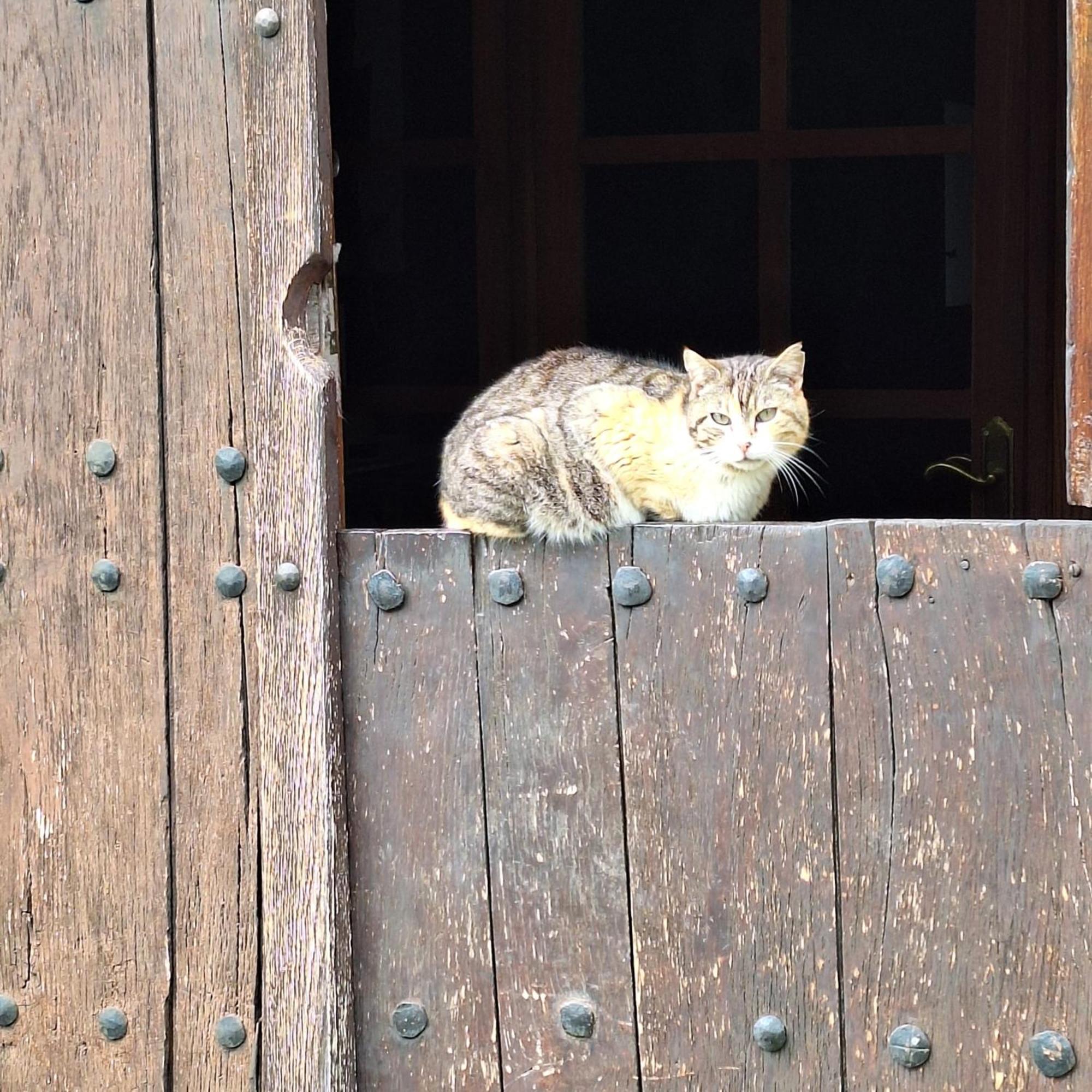 Escoriaza Casa Rural Areano المظهر الخارجي الصورة